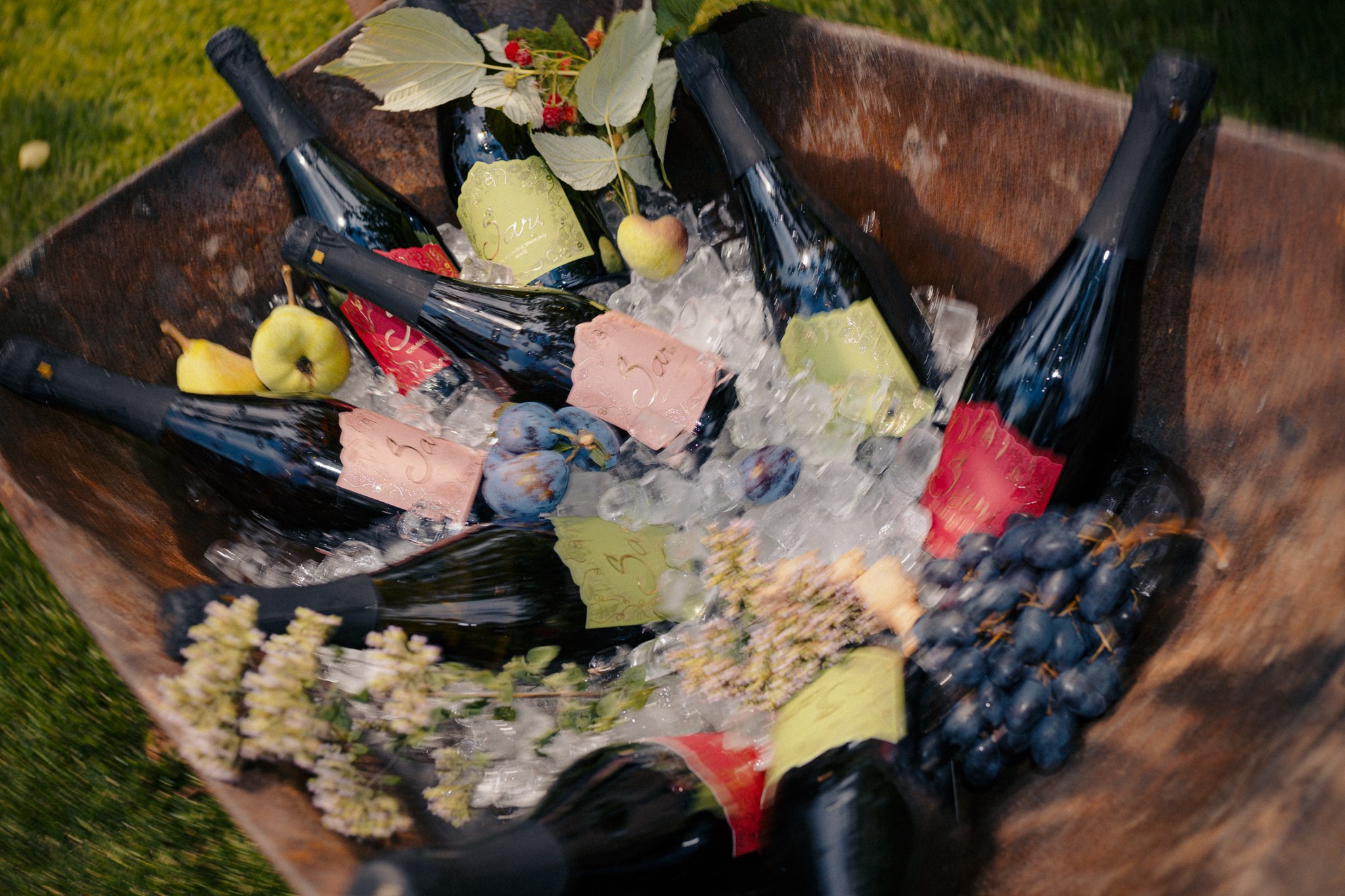 Bottles of Sari chilling in a tub of ice with fresh fruit and herbs